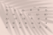 Paris Elegant Serif Font, a Serif Font by Perfectype (Thumbnail 8 of 8)