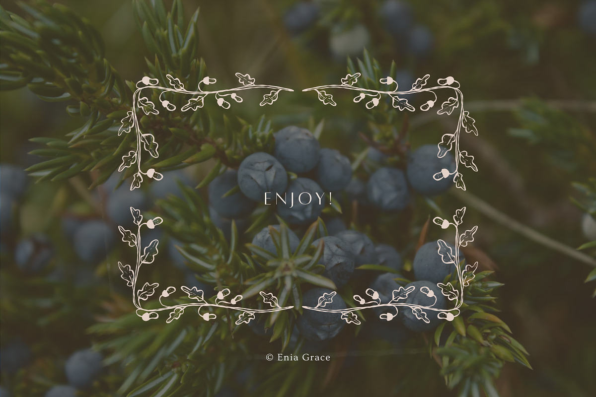 Autumn botanical hand-drawn graphics, a Decorative Illustration by Enia Grace (Photo 11 of 11)