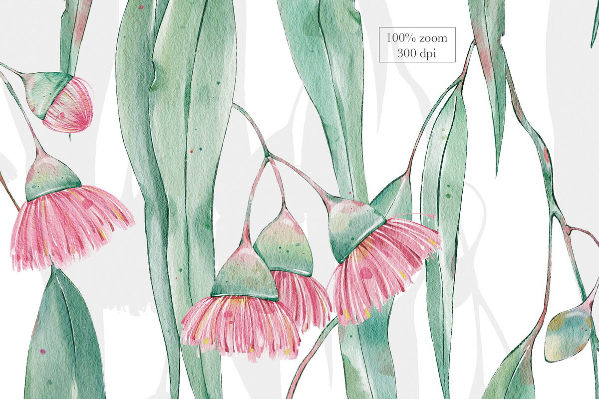 Australian Bloom Seamless Patterns, a Pattern Graphic by Alisa Fimen Design (Photo 6 of 8)