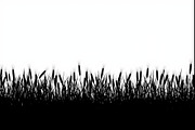 Wheat Field Border Bundle, an Illustration by Designs_River (Thumbnail 4 of 9)