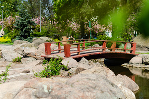 Decorative Garden Bridge Above Water in Blooming Park, a Nature Photo by vimart