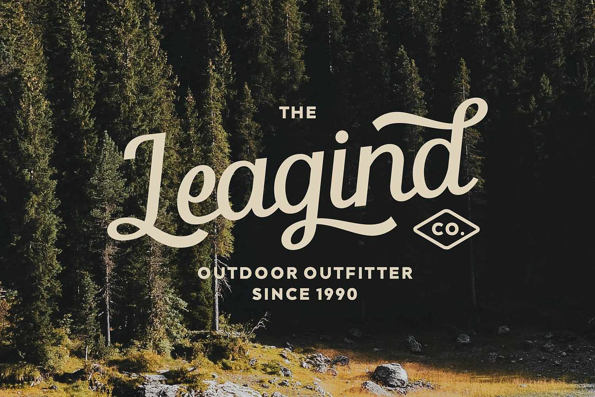 Melodina - Vintage Script Font, a Script Font by Luna Shop (Photo 6 of 13)