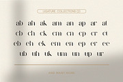 Baginda - Modern Ligature Typeface, a Serif Font by BOOSH Studio (Thumbnail 11 of 14)