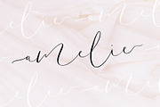 Amelie - Chic & Elegant Script Font, a Script Font by SilverStag Type Foundry (Thumbnail 18 of 23)
