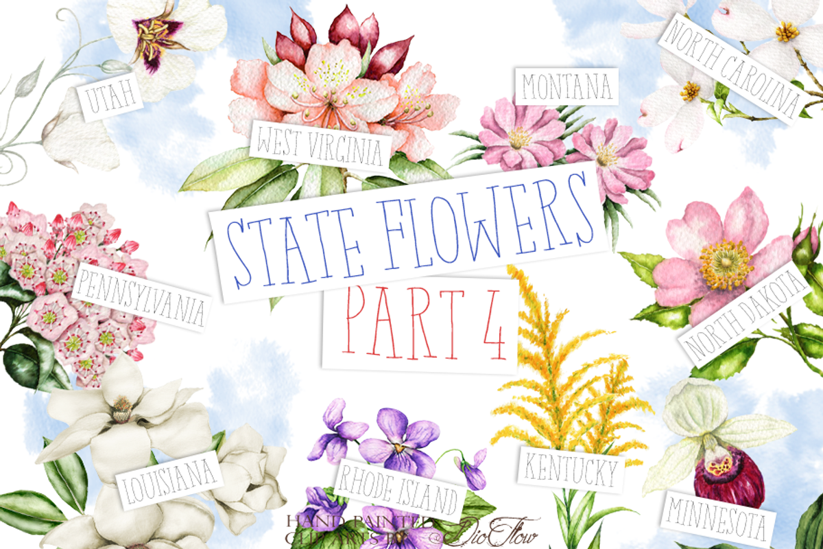 US State Flowers Part 4 Illustration, a Decorative Illustration by DioFlow (Photo 1 of 4)