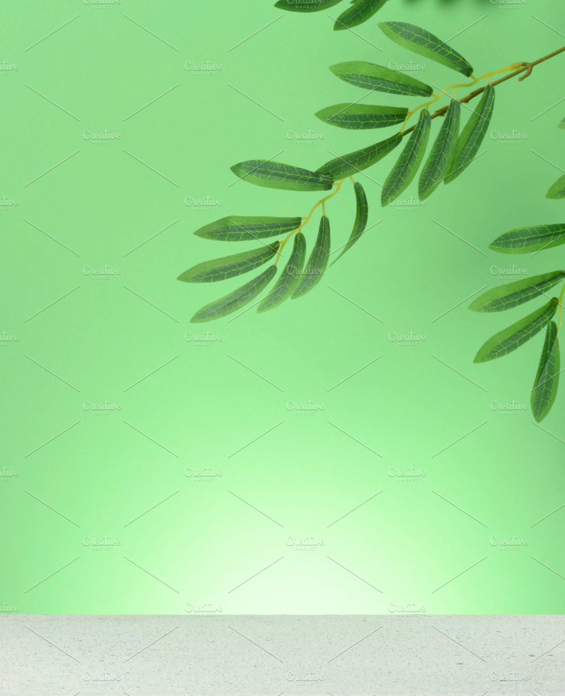 Green background with olive tree branch hanging from above., a Background Photo by ndanko