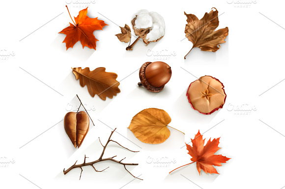 Autumn Icons Vector Illustration