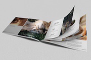 Multipurpose Brochure - Johnny, a Brochure Template by Typography Prime (Thumbnail 2 of 11)