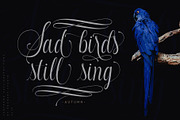 Santhana Calligraphy, a Script Font by Rochart (Thumbnail 5 of 12)