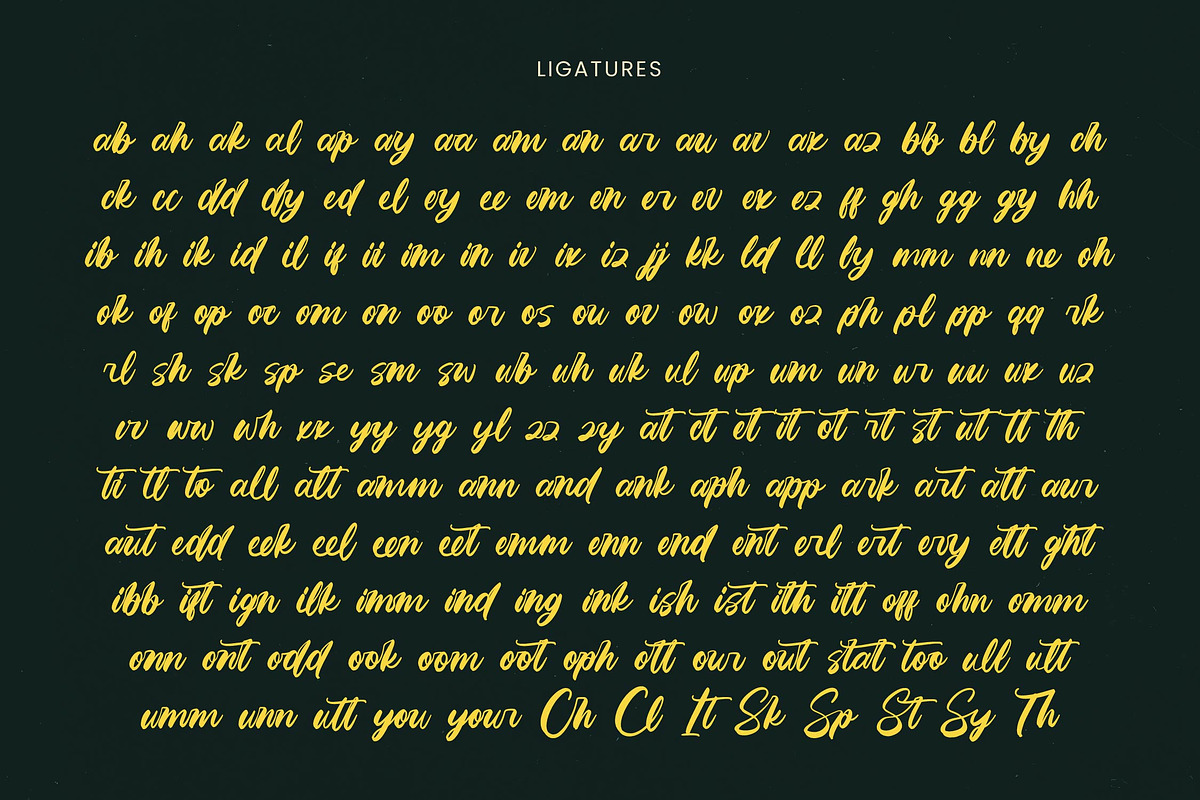 Matric Bunker Bold Brush Font, a Script Font by Letterena Studios Script (Photo 19 of 20)