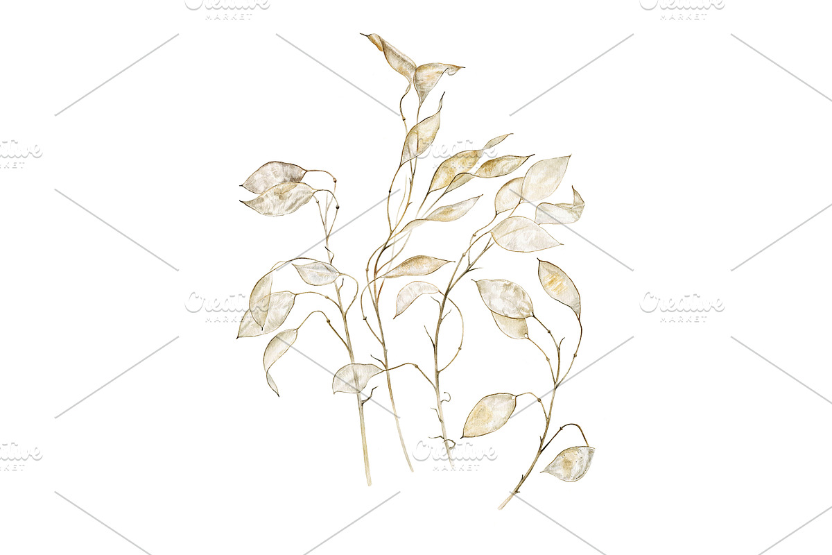 Lunaria branches, an Illustration by Watercolor life (Photo 3 of 7)