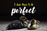 Quacky Font, a Script Font by YandiDesigns (Thumbnail 2 of 3)