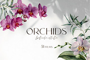 Orchid Watercolor flowers clipart, an Illustration by Yuliya Derbisheva (Thumbnail 1 of 10)