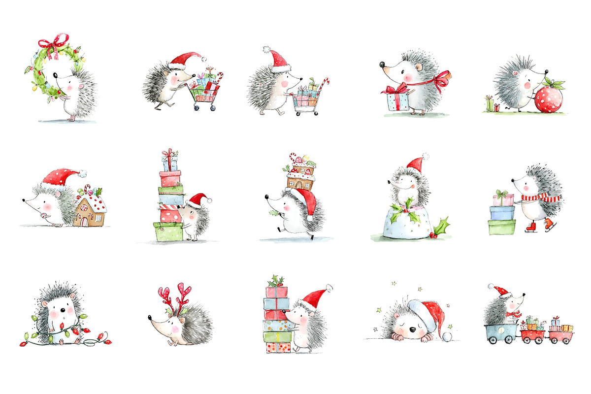 Christmas Hedgehog Clipart, a Seasonal Illustration by Nicolle's Colorful Art (Photo 2 of 7)