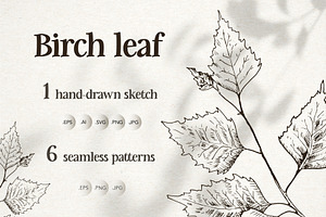 Birch leaf. Sketch and patterns