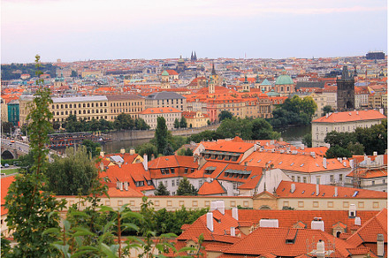 Florence Containing Florence Firenze And Italy preview 4