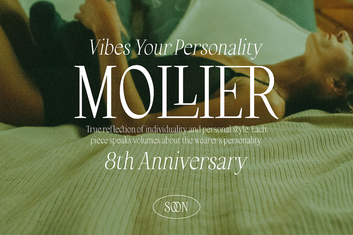Asel Links - Neo Retro Serif, a Serif Font by Versetype (Photo 5 of 12)