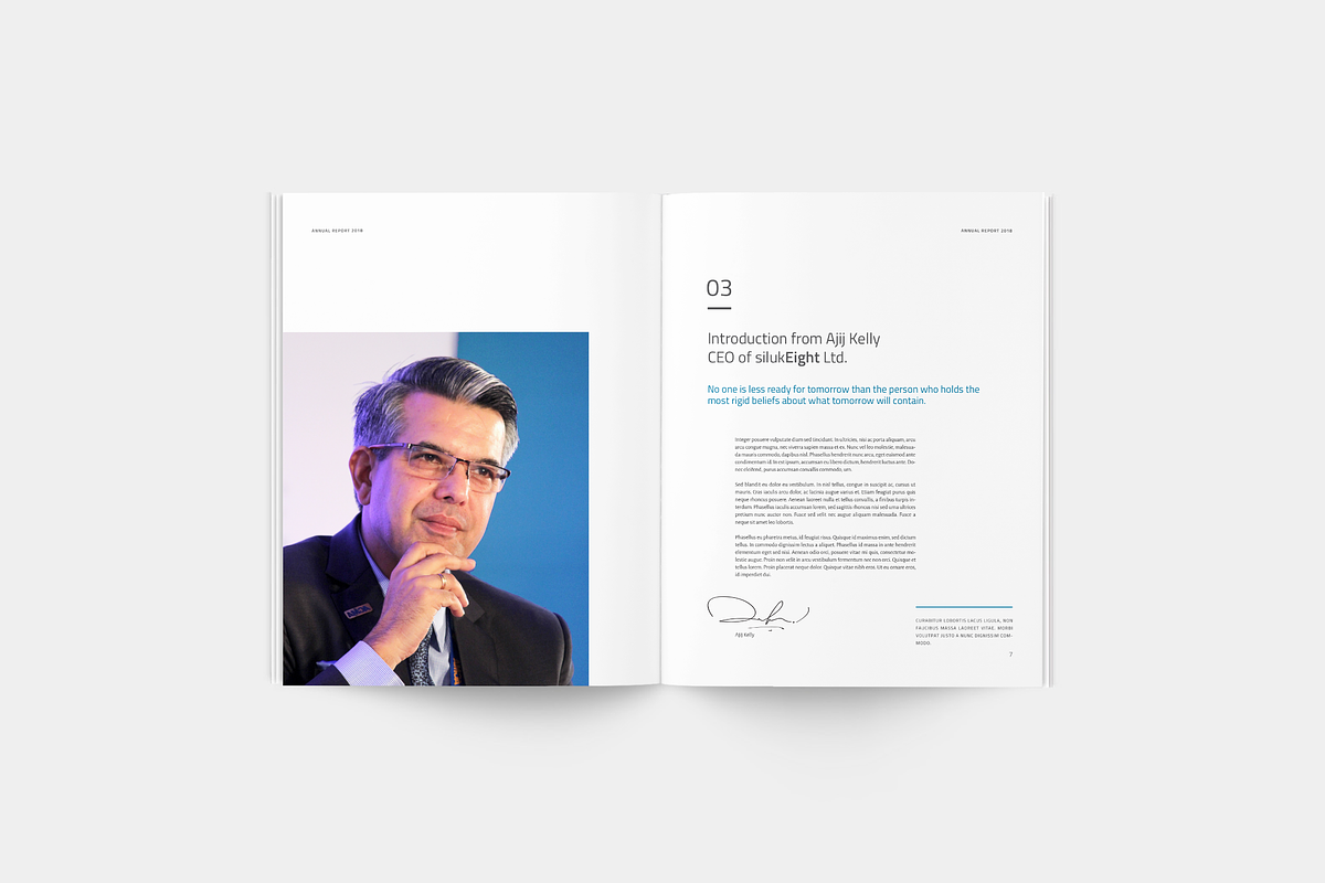 Annual Report, a Brochure Template by silukEight (Photo 4 of 12)