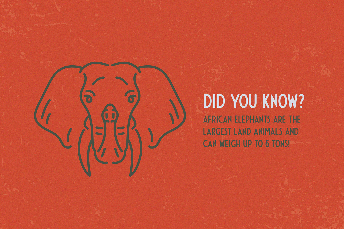 African Animals Icon Pack, an Icon by David Basye Design (Photo 3 of 4)