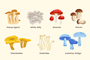 Wild Mushroom Illustrations, a Seasonal Illustration by ThePixelLibrary (Thumbnail 3 of 10)