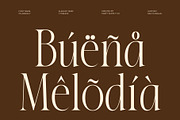 CS Aracely – Elegant Serif Font, a Serif Font by Craft Supply Co. (Thumbnail 7 of 8)