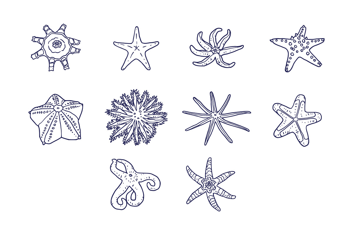 Breeds Starfish Hand-Drawn Vol. 2, an Animal Illustration by SLAB! Design (Photo 2 of 3)
