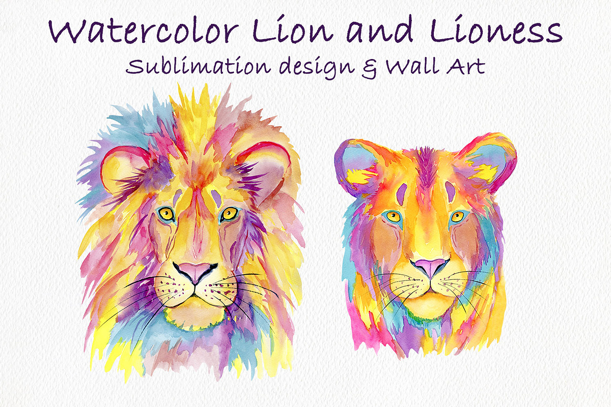 Watercolor Lion and Lioness, an Animal Illustration by ArtIrisArt (Photo 1 of 8)