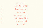 Calgary | New Stylish Serif Font, a Serif Font by Pentagonistudio (Thumbnail 18 of 20)