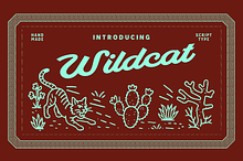 Wildcat - script typeface