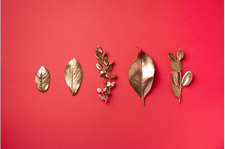Golden leaves on red background. Top, a Nature Photo by Enjoy Photo