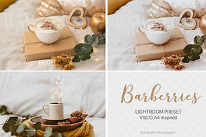 Desktop Lightroom Presets BARBERRY