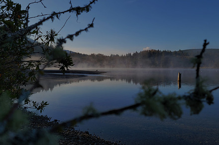 Foggy Morning on the Lake
