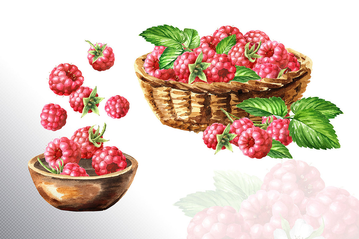 Summer Raspberries. Watercolor set, a Food Illustration by Daria Ustiugova (Photo 12 of 26)