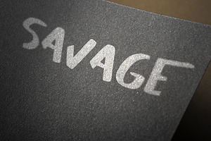 SAVAGE Duo Script Font