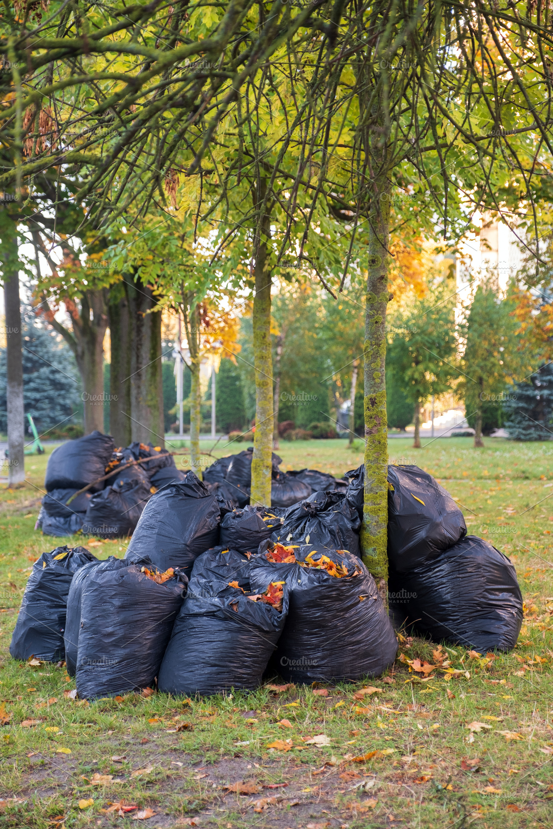 Black plastic bags filled with fallen autumn leaves collected in park. Heap of, a Nature Photo by Rohan Photography