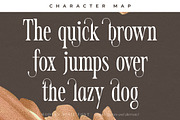 Mosfaghet Modern Serif Font, a Serif Font by Storytype Studio (Thumbnail 6 of 15)