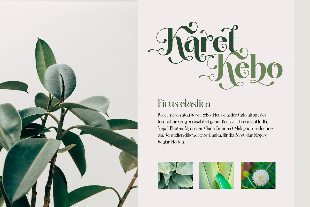 Kathy Style - Elegant Beauty Serif, a Serif Font by creativemedialab (Photo 11 of 17)