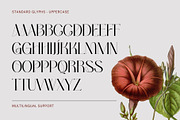 Bumerang - Display Serif, a Serif Font by Nirmana Visual (Thumbnail 10 of 15)