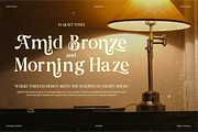 Aurine Modern Display Serif Font, a Serif Font by Rasio Studio (Thumbnail 5 of 8)