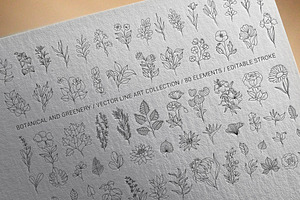 Botanical Vector Greenery & Flowers