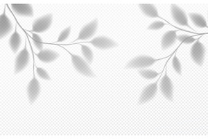 Realistic transparent shadow of a