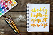 Lemon Shake, a heavy brush font, a Script Font by Rachel White Art (Thumbnail 14 of 14)