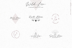 Script Font Wild Love Logos