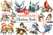 Watercolor Christmas Birds Clipart, an Illustration by Craft Nest (Thumbnail 1 of 6)