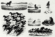 Wild Horse SVG Graphics Bundle, an Animal Illustration by DENIDigitalArtSudio (Thumbnail 7 of 8)