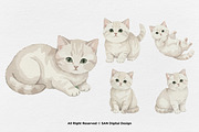 15 Bundle Watercolor White Kitten, an Animal Illustration by Morspective (Thumbnail 6 of 8)