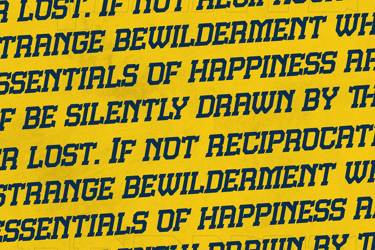 Grante Modern Slab Serif Font, a Slab Serif Font by Storytype Studio (Photo 5 of 15)
