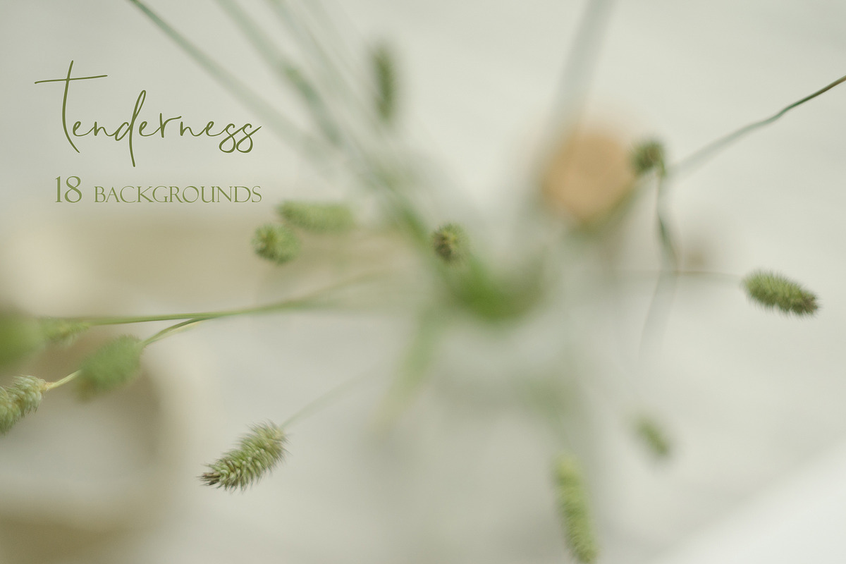 Tenderness. Wedding Mockup Photo Set, a Mockup by NataliArkushArt (Photo 15 of 17)