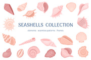 Seashells Collection, an Object Illustration by yarynabo (Thumbnail 1 of 14)