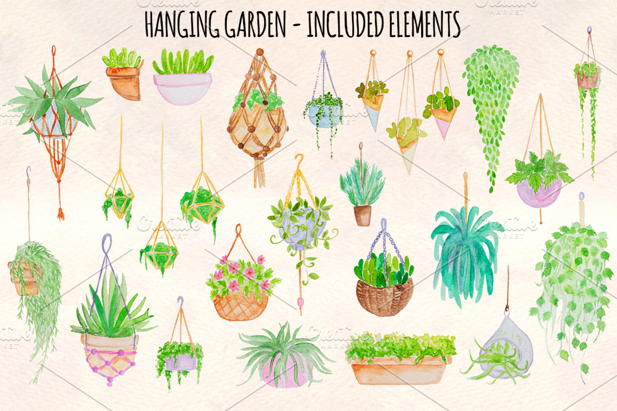 26 Hanging Plants Garden Watercolor, a Seasonal Illustration by Violet LeBeaux (Photo 2 of 3)
